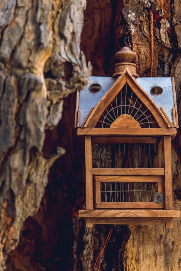 Traditional Guesthouses Xenofon Drymon Dış mekan fotoğraf